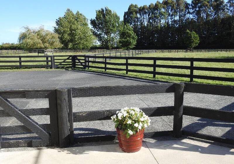 Grasslands Bed & Breakfast