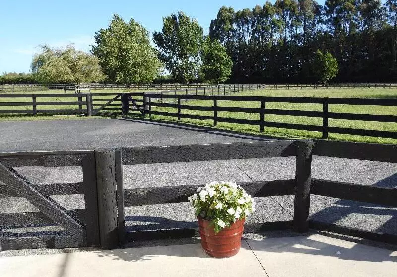 Grasslands Bed & Breakfast