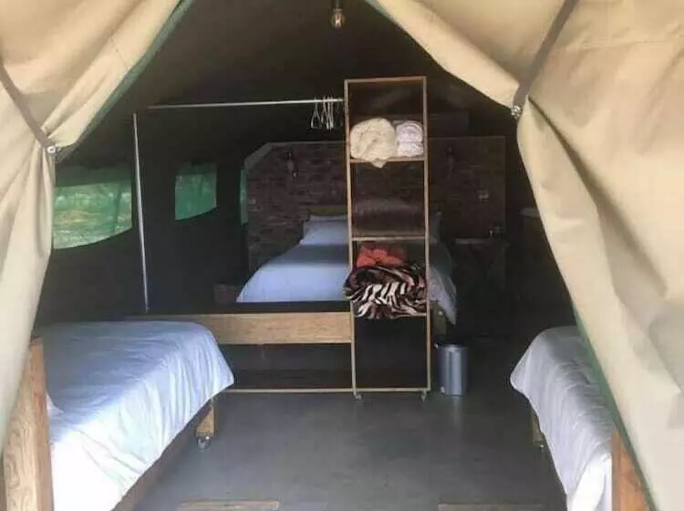 ホテル Limpopo Bushveld Retreat