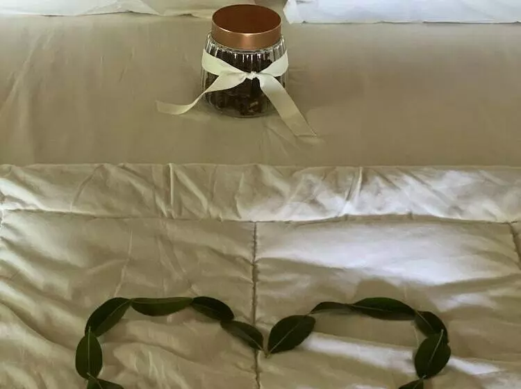 ホテル Limpopo Bushveld Retreat