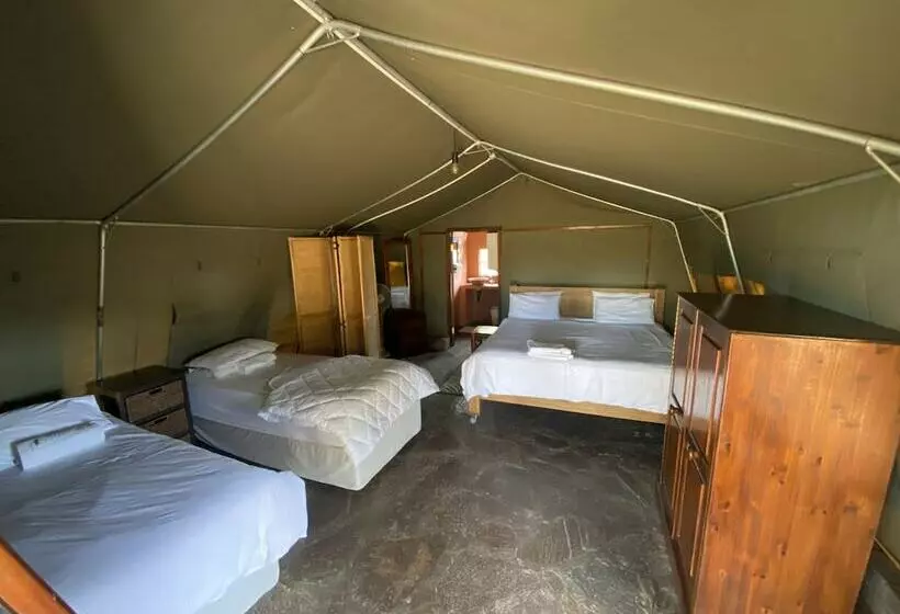 ホテル Limpopo Bushveld Retreat