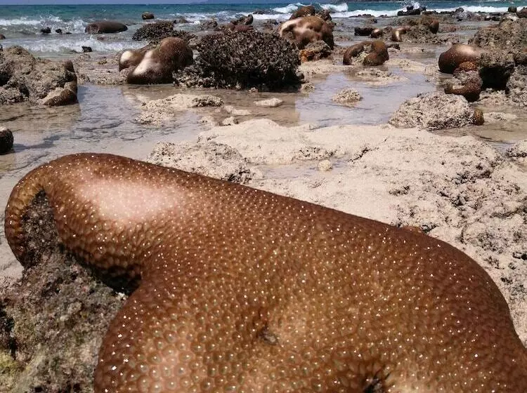 Hotelli Tamara Resort