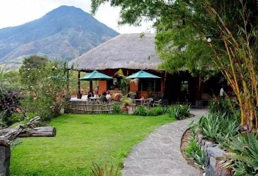 هتل Y Restaurante Bambu