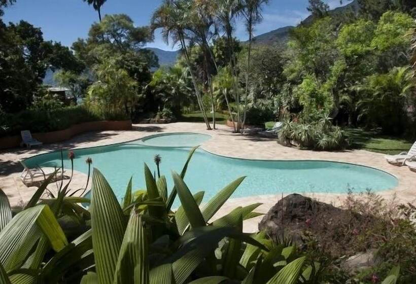 هتل Y Restaurante Bambu