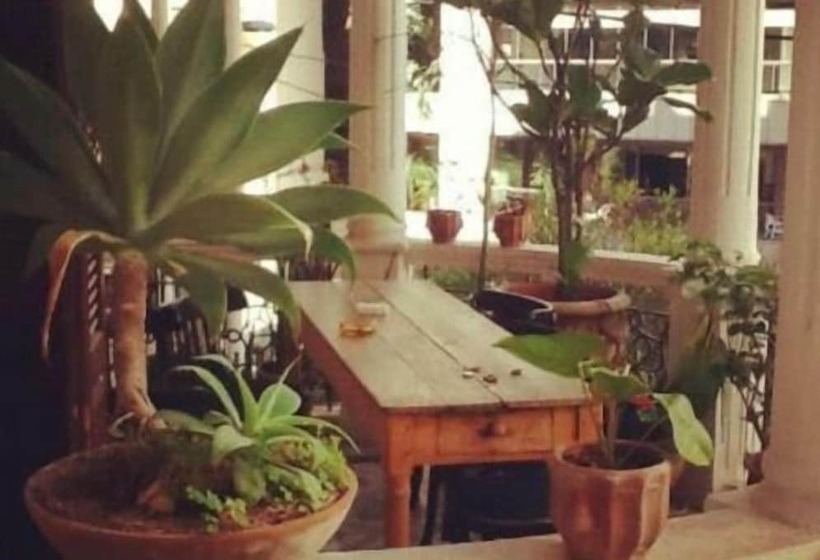 پانسیون Hayete Guesthouse