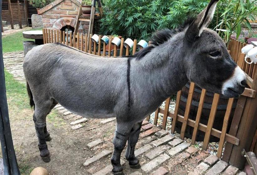 ペンション Penzion Panorama