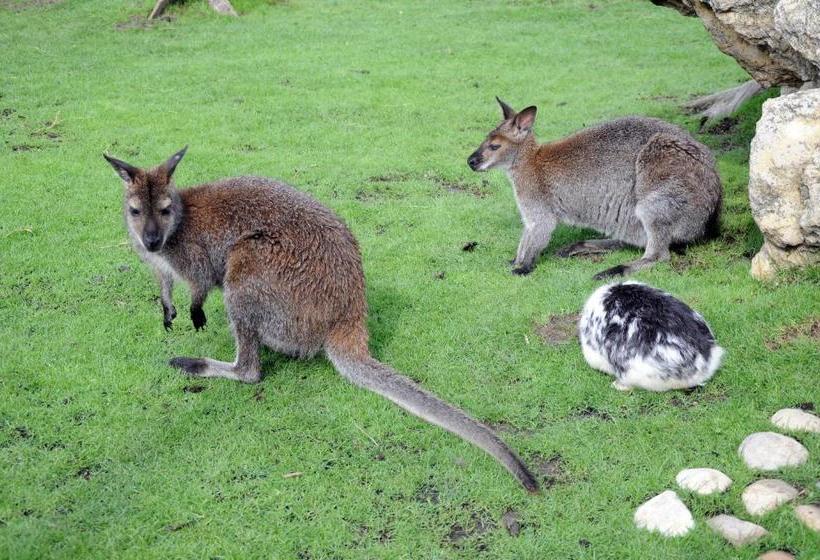 ペンション Penzion Panorama