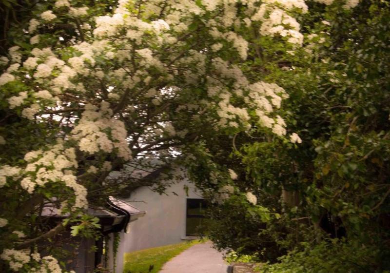 פנסיון The Waters Country House