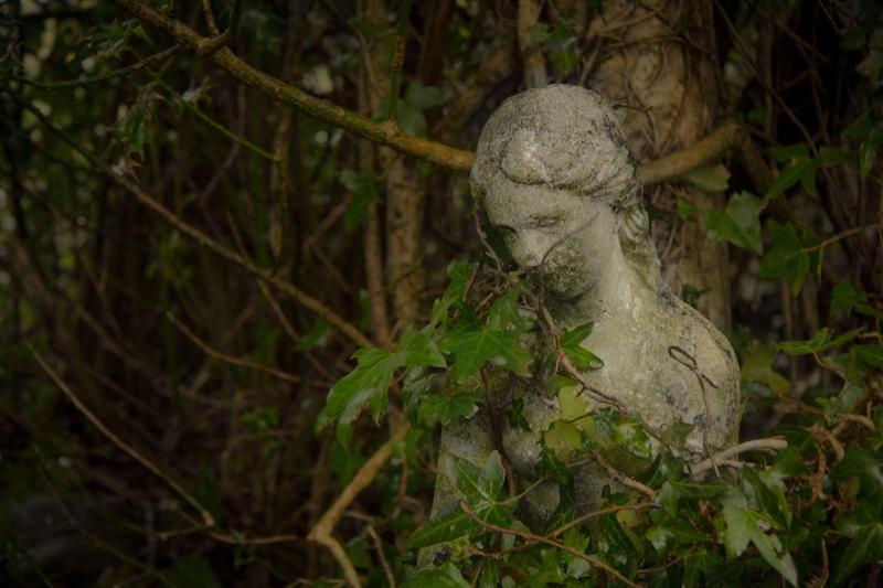 פנסיון The Waters Country House