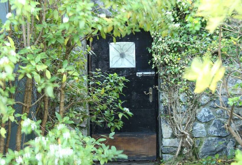 פנסיון The Waters Country House