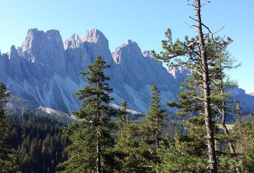 Appartmenthotel Residence Elvis