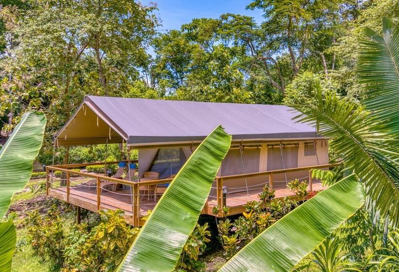 Отель Isla Chiquita Glamping