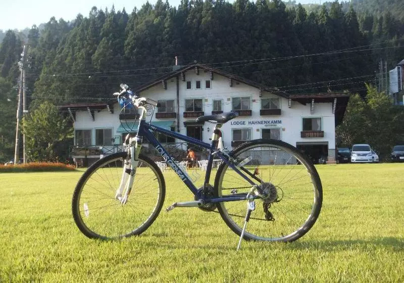 Hotelli Lodge Hahnenkamm