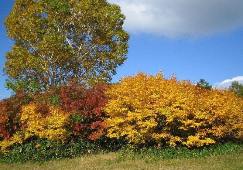 호텔 Lodge Hahnenkamm