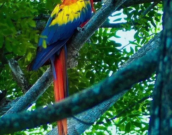 Hotelli Rancho Coral