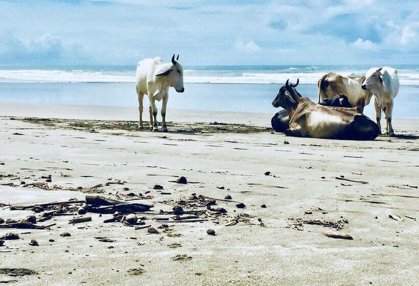 فندق Rancho Coral