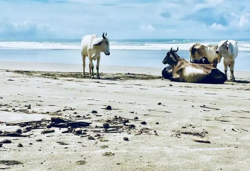 Hotelli Rancho Coral