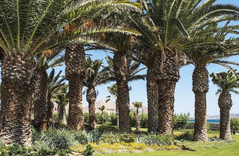 酒店 Villa Bellonia