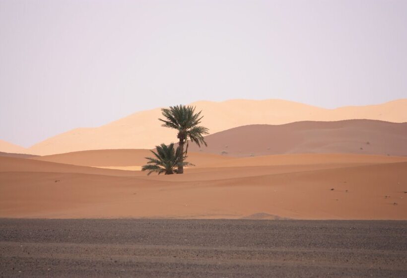 بنسيون Kasbah Du Berger