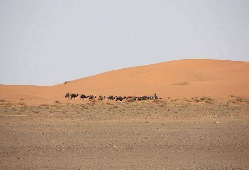 بنسيون Kasbah Du Berger