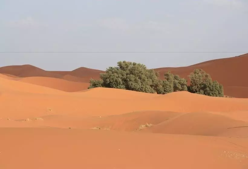Majatalo Kasbah Du Berger