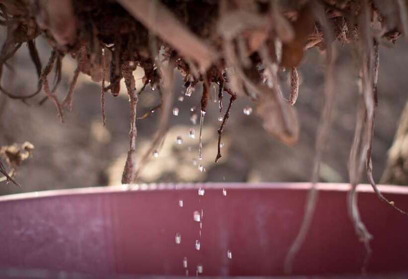 酒店 Baleni Cultural Camp