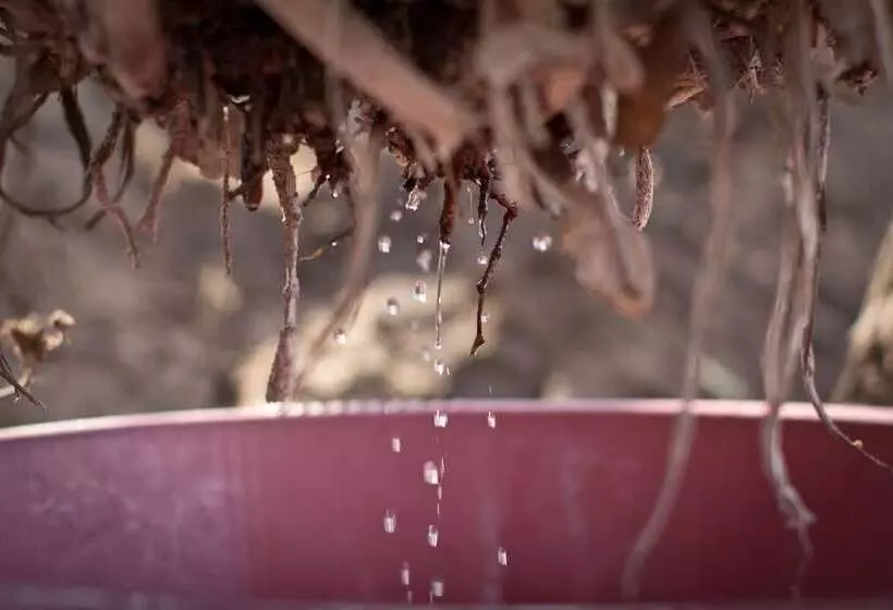 Hotelli Baleni Cultural Camp