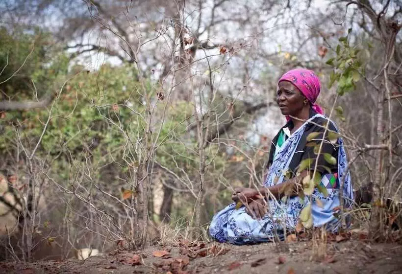 Hotelli Baleni Cultural Camp