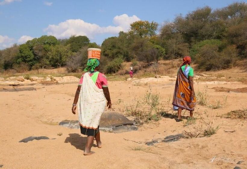 酒店 Baleni Cultural Camp