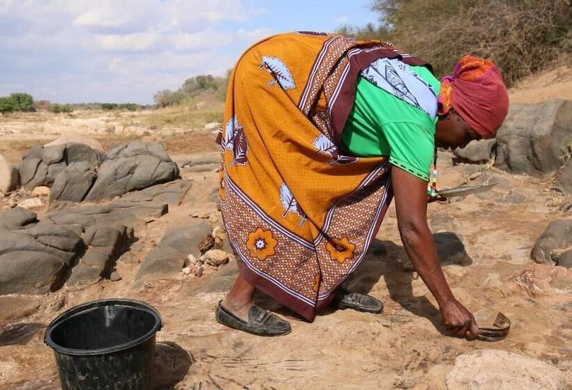 酒店 Baleni Cultural Camp