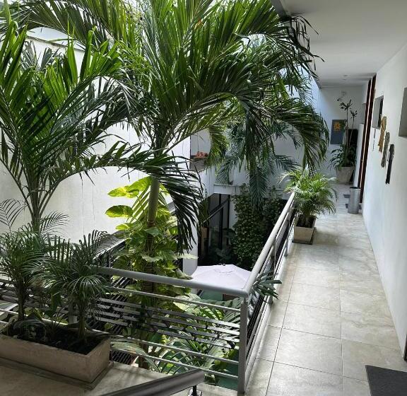 酒店 Boutique Murana Tulum