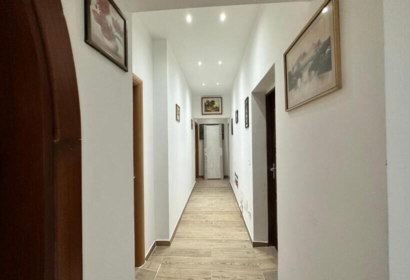 پانسیون Dream Holiday