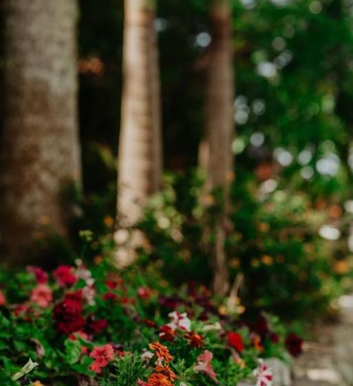 هتل Pousada Praia De Bombinhas