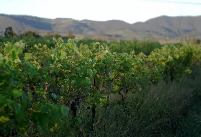 ホテル Harkham Lodge