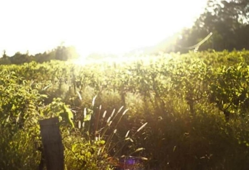 فندق Harkham Lodge