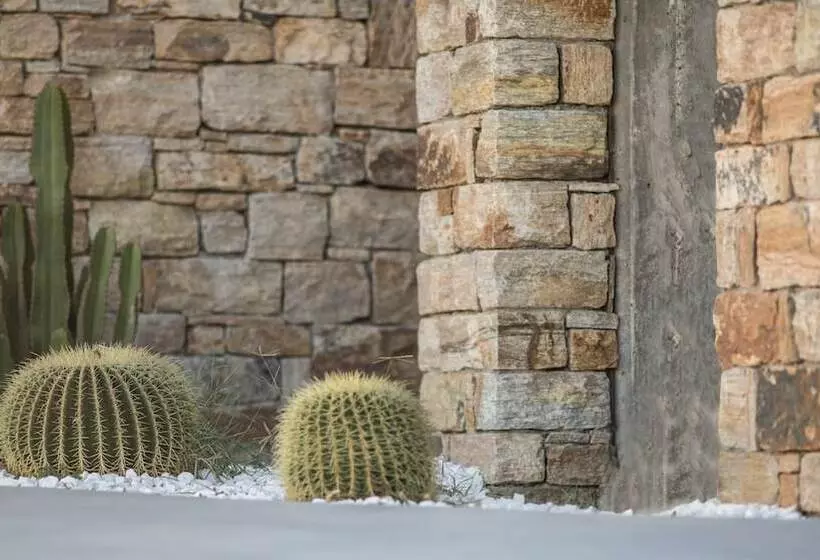 Naxos Euphoria Suites