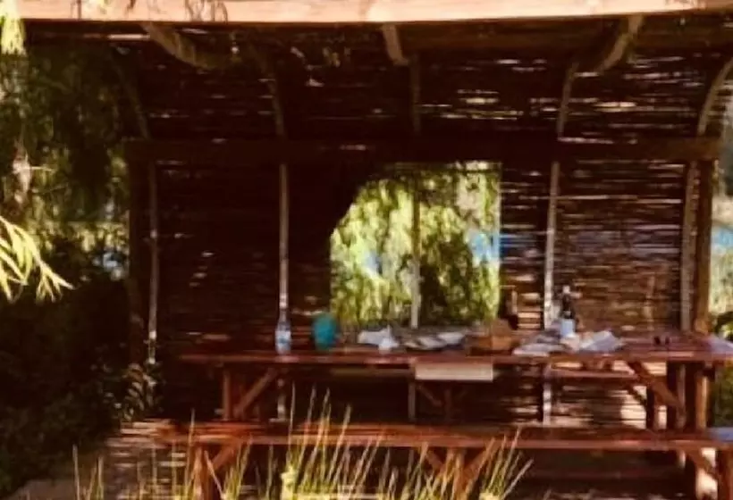 ペンション De Oude Meul Guest House