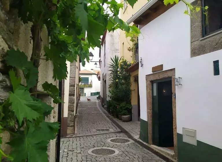 پانسیون Refugio D Anita Douro Valley House