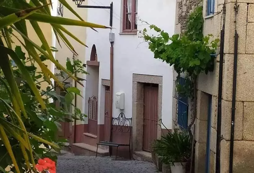 پانسیون Refugio D Anita Douro Valley House