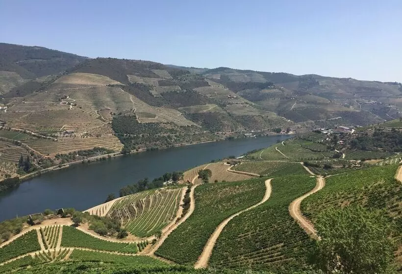 پانسیون Refugio D Anita Douro Valley House