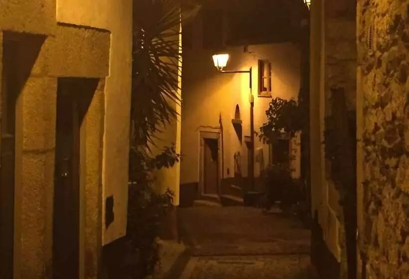 پانسیون Refugio D Anita Douro Valley House