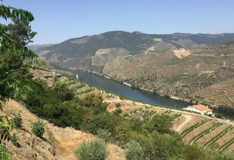 پانسیون Refugio D Anita Douro Valley House