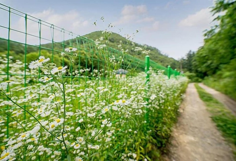 Pensão Yongin Sun & Moon Peension