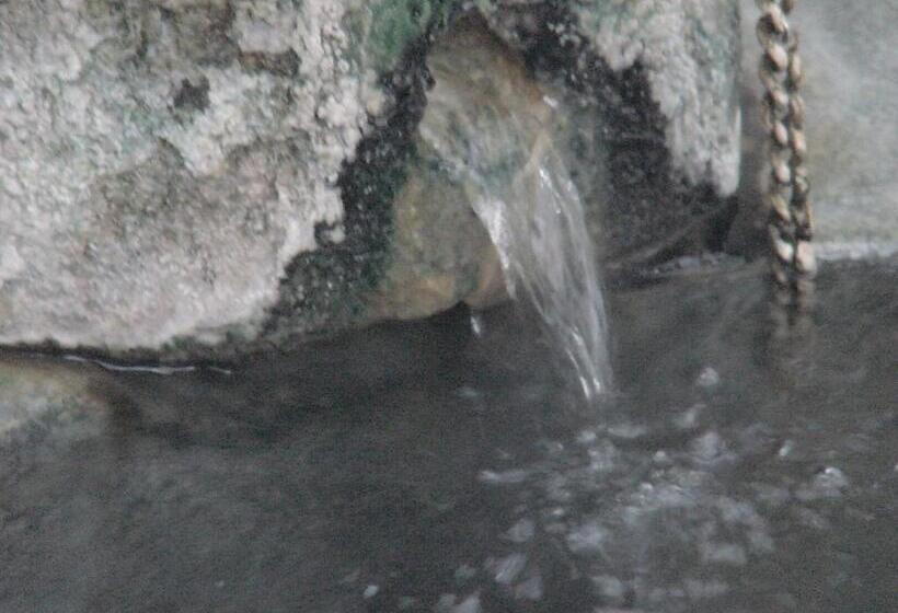 ריוקאן Star Hotel Akakura