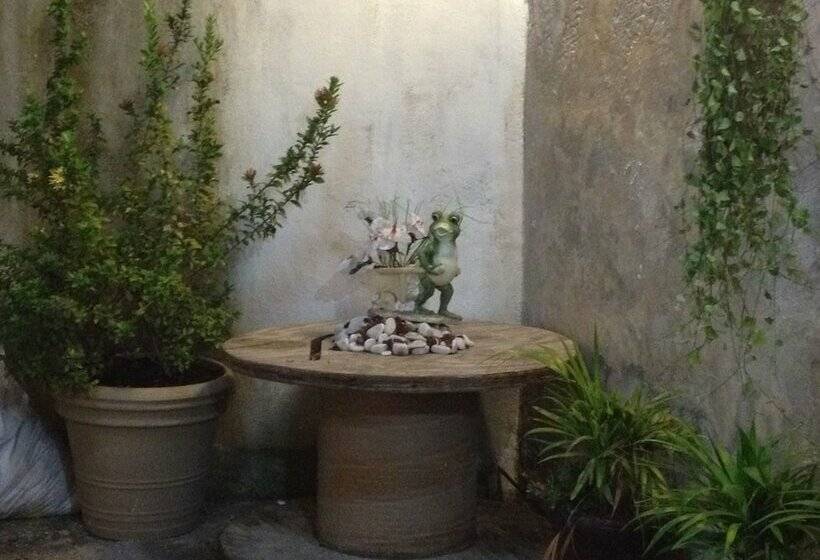 Hostal Casa Allende   Hostel