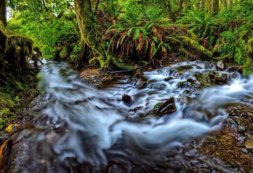 汽车旅馆  Bushman S Motor Inn