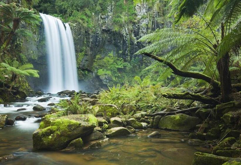 汽车旅馆  Bushman S Motor Inn