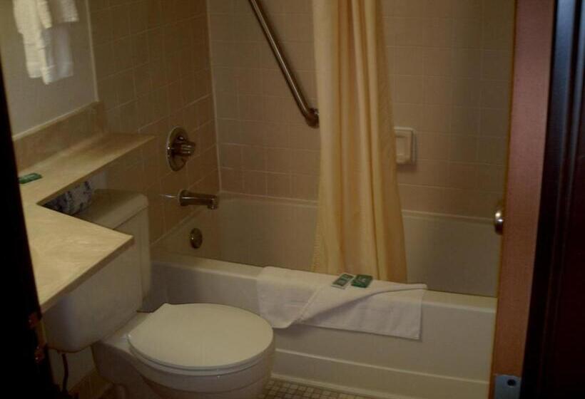 American Motel Waseca