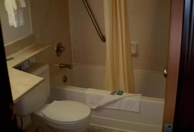 American Motel Waseca