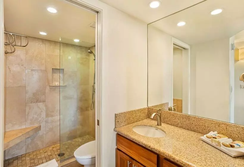 호텔 Aston At The Maui Banyan